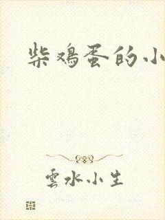 柴鸡蛋的小说