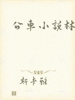 公车小说林蔓蔓