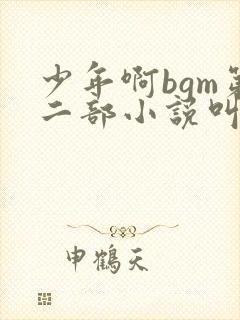 少年啊bgm第二部小说叫什么