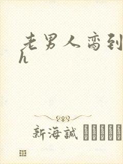 老男人脔到她哭h