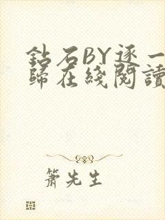 钻石BY逐一而归在线阅读