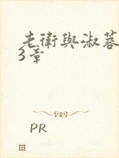 老卫与淑蓉第13章