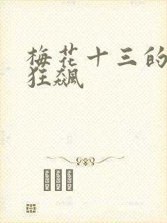梅花十三的乳液狂飙