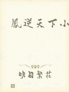 凤逆天下小说