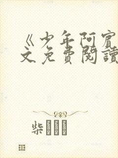 《少年阿宾》全文免费阅读