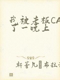 我被老板CAO了一晚上