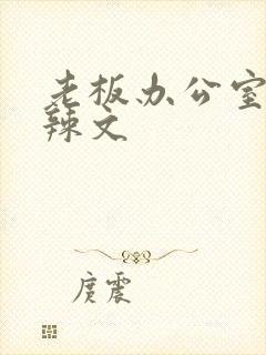 老板办公室系列辣文