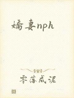 娇妻nph