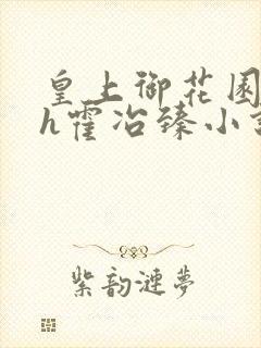 皇上御花园hlh霍冶臻小说