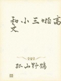 和小三啪高辣h文封面