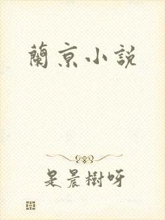 兰京小说