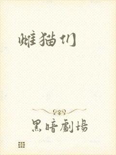 雌猫们