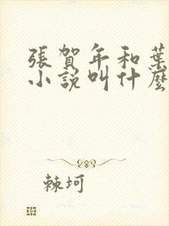 张贺年和叶繁姿小说叫什么名字