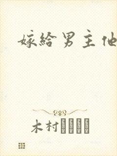 嫁给男主他爹