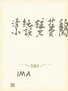 清纯校花的秘密小说免费阅读