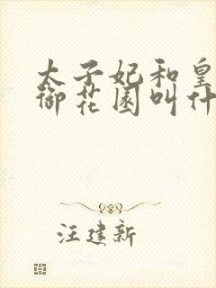 太子妃和皇帝在御花园叫什么小说