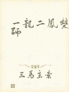 一龙二凤双飞老师