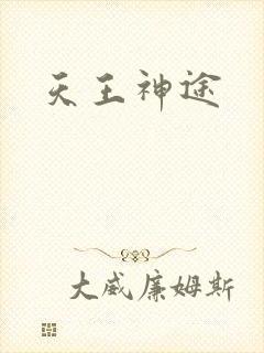 天王神途封面