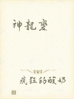 《神龙变》小说封面