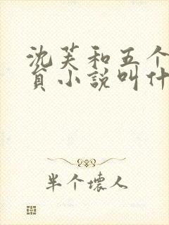 沈芙和五个消防员小说叫什么