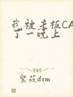 我被老板CAO了一晚上