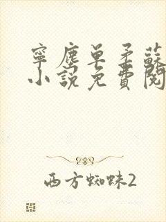 宁尘单柔苏千雪小说免费阅读最新