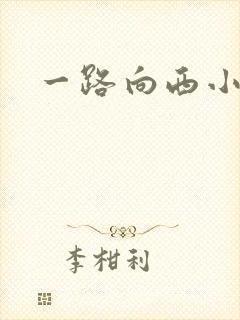 一路向西小说