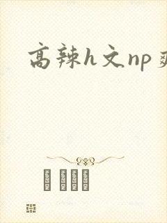 高辣h文np爽
