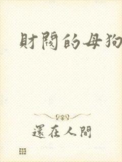 财阀的母狗们