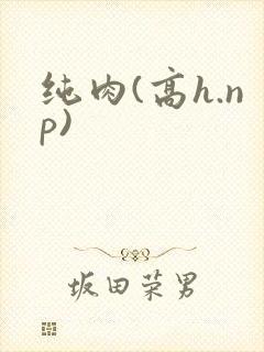 纯肉(高h.np)