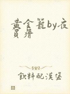 黄金笼by夜很贫瘠