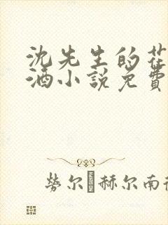 沈先生的花式调酒小说免费阅读