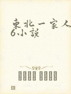 东北一家人1一6小说