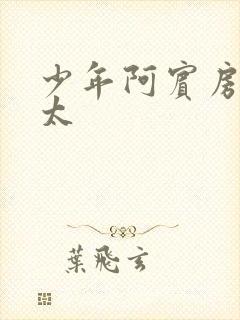 少年阿宾房东太太