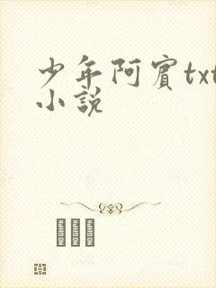 少年阿宾txt小说