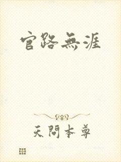 官路无涯封面