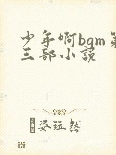 少年啊bgm第三部小说