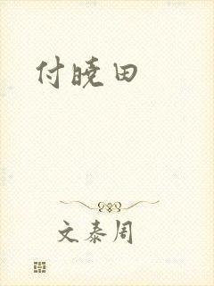 付晓田