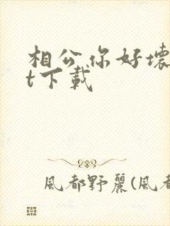 相公你好坏txt下载