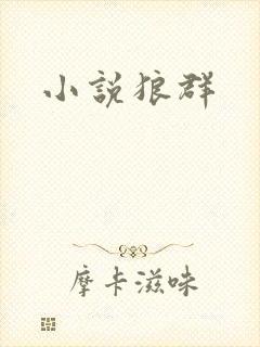 小说狼群