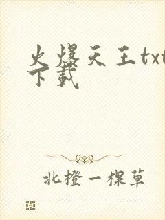 火爆天王txt下载