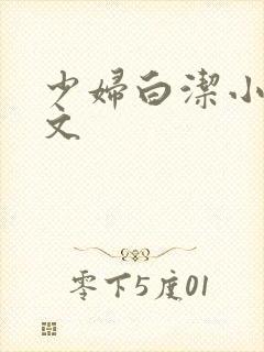 少妇白洁小说全文