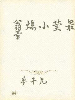 翁熄小莹最新节章