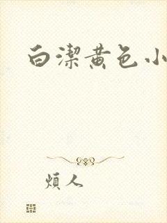 白洁黄色小说封面