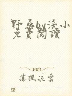 野桑by浅小说免费阅读