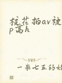 校花拍av被np高h