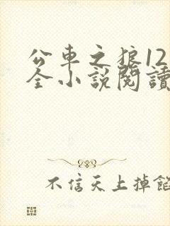 公车之狼12集全小说阅读