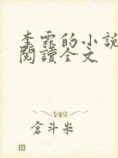 李霖的小说免费阅读全文