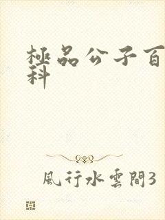 极品公子百度百科