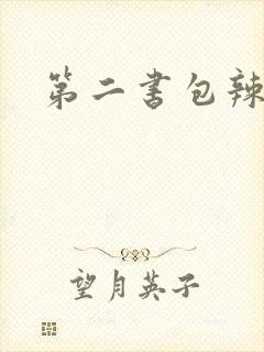 第二书包辣文封面